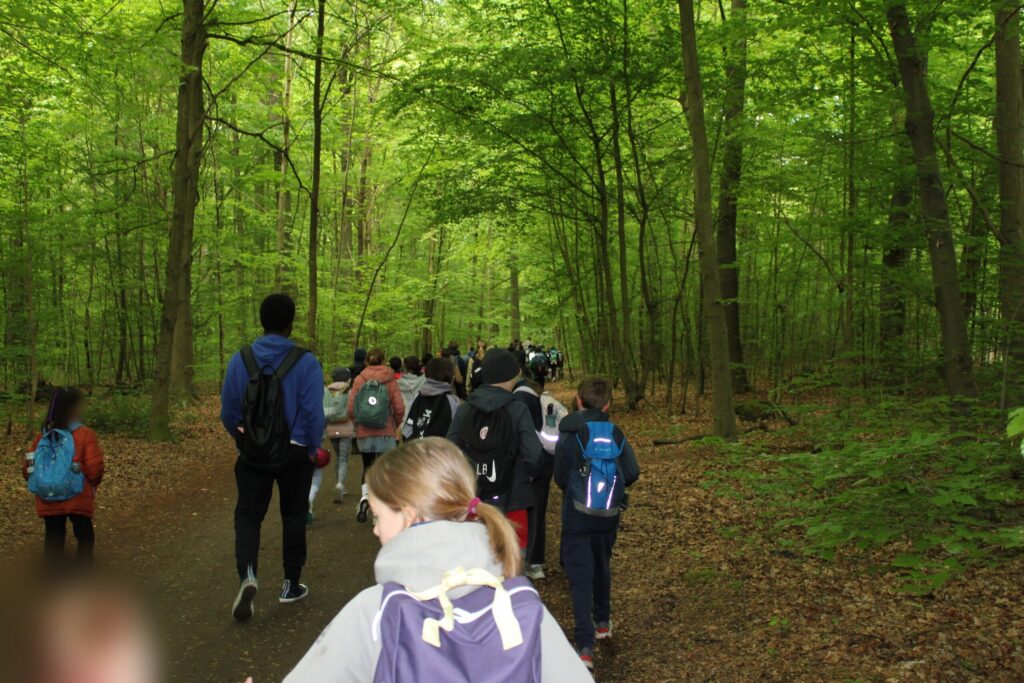 Kinder wandern mit Rucksäcken durch den Wald.